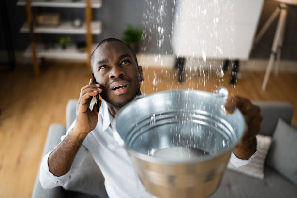Best Sewage cleanup and water damage restoration  in Montrose, VA