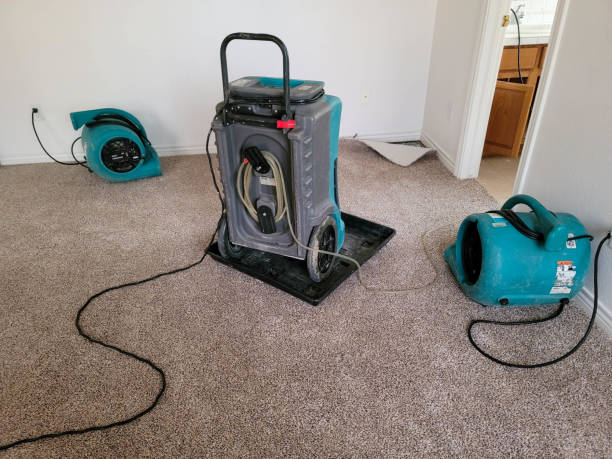 Best Sewage cleanup and water damage restoration  in Montrose, VA