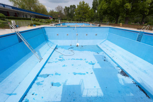 Best Water damage contractors near me  in Montrose, VA