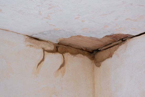 Best Residential water damage restoration  in Montrose, VA