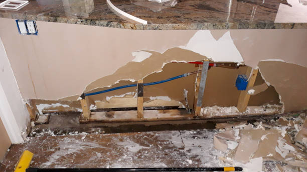 Best Fire Damage Restoration  in Montrose, VA