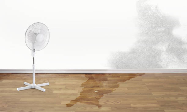 Best Sewage cleanup and water damage restoration  in Montrose, VA