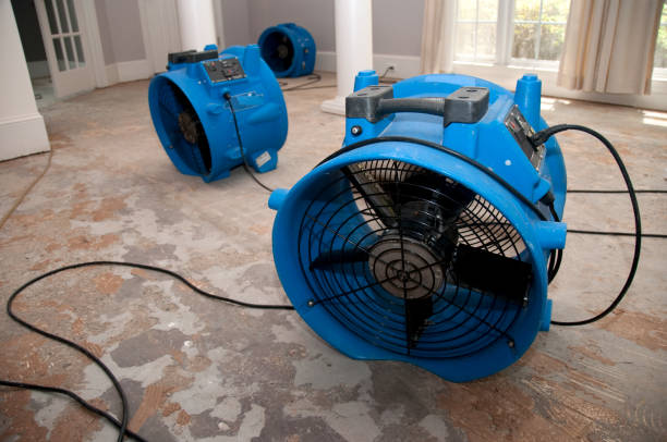  Montrose, VA Water damage restoration Pros