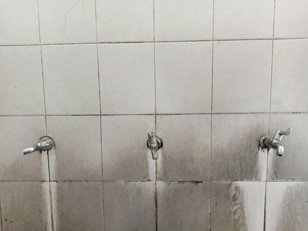 Best Professional water damage repair  in Montrose, VA