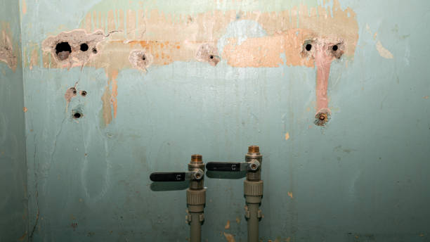 Best Carpet water damage restoration  in Montrose, VA