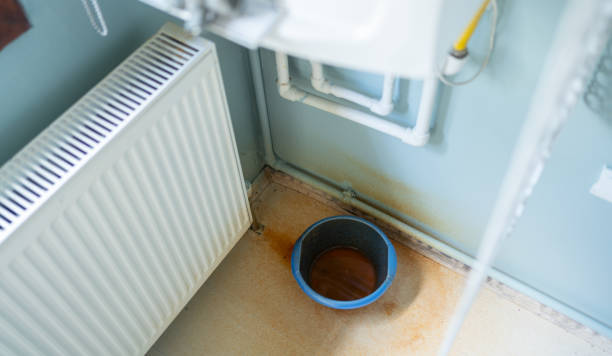 Best Flooded house restoration  in Montrose, VA