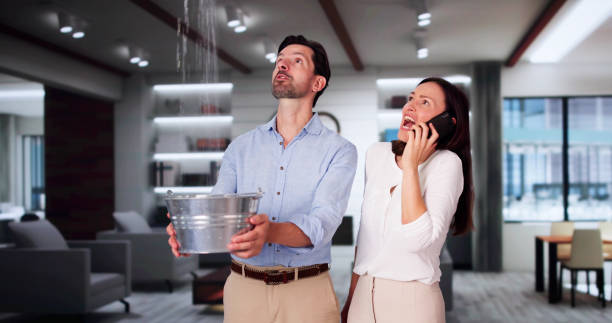 Best Water damage restoration process  in Montrose, VA