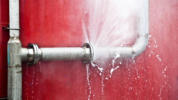 Best Water damage restoration process  in Montrose, VA